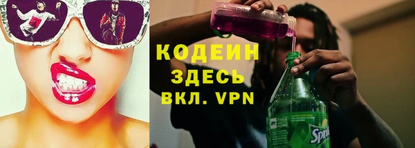 прущие грибы Болотное