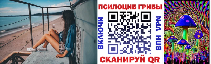 Псилоцибиновые грибы Cubensis Шебекино