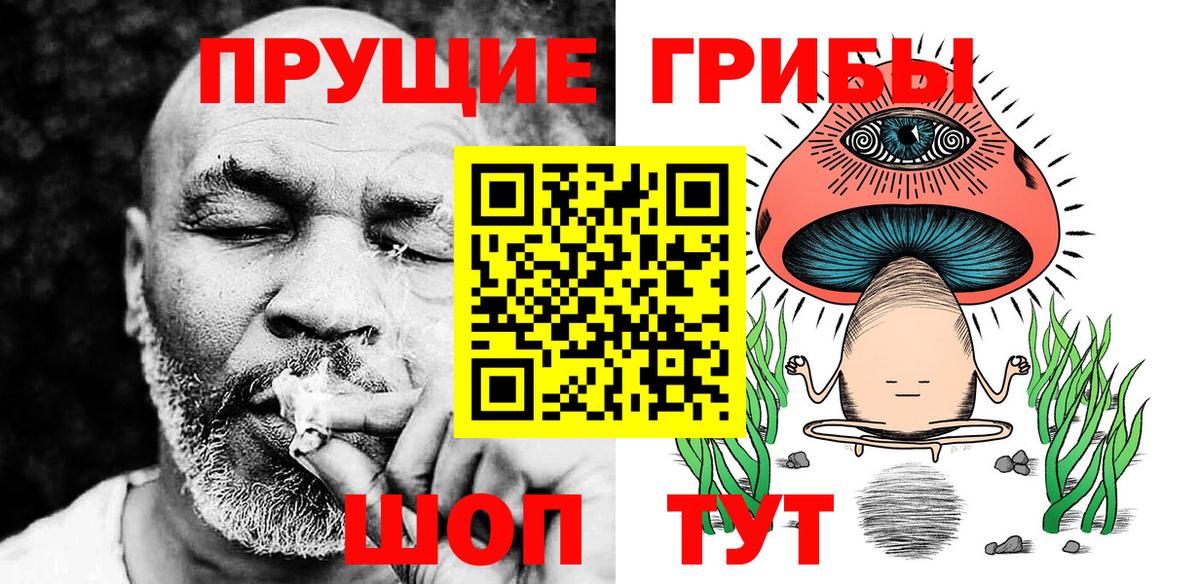 Галлюциногенные грибы Psilocybe  Шебекино 