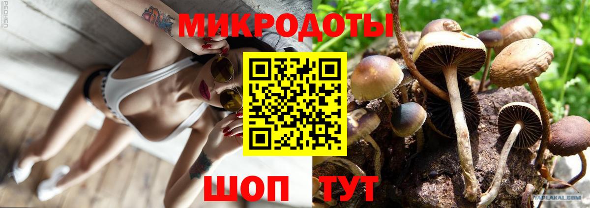 Псилоцибиновые грибы мухоморы Шебекино