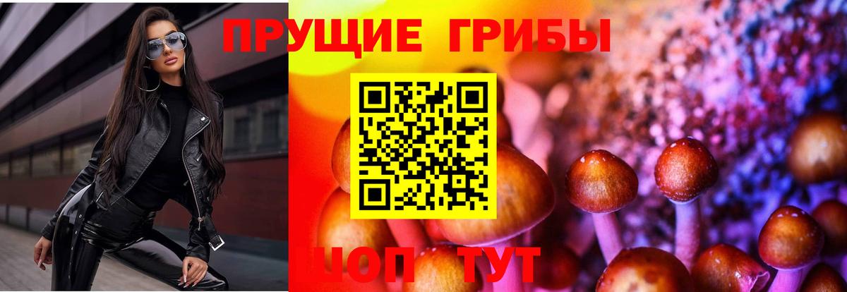 Галлюциногенные грибы мухоморы Шебекино